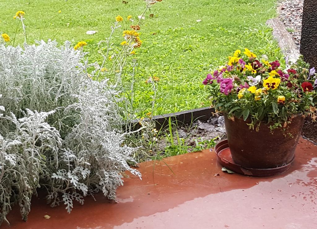 Finca Los Almendros Hotel Tunuyán Eksteriør billede