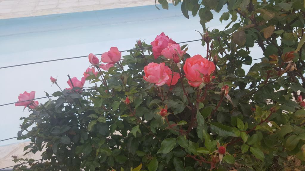 Finca Los Almendros Hotel Tunuyán Eksteriør billede