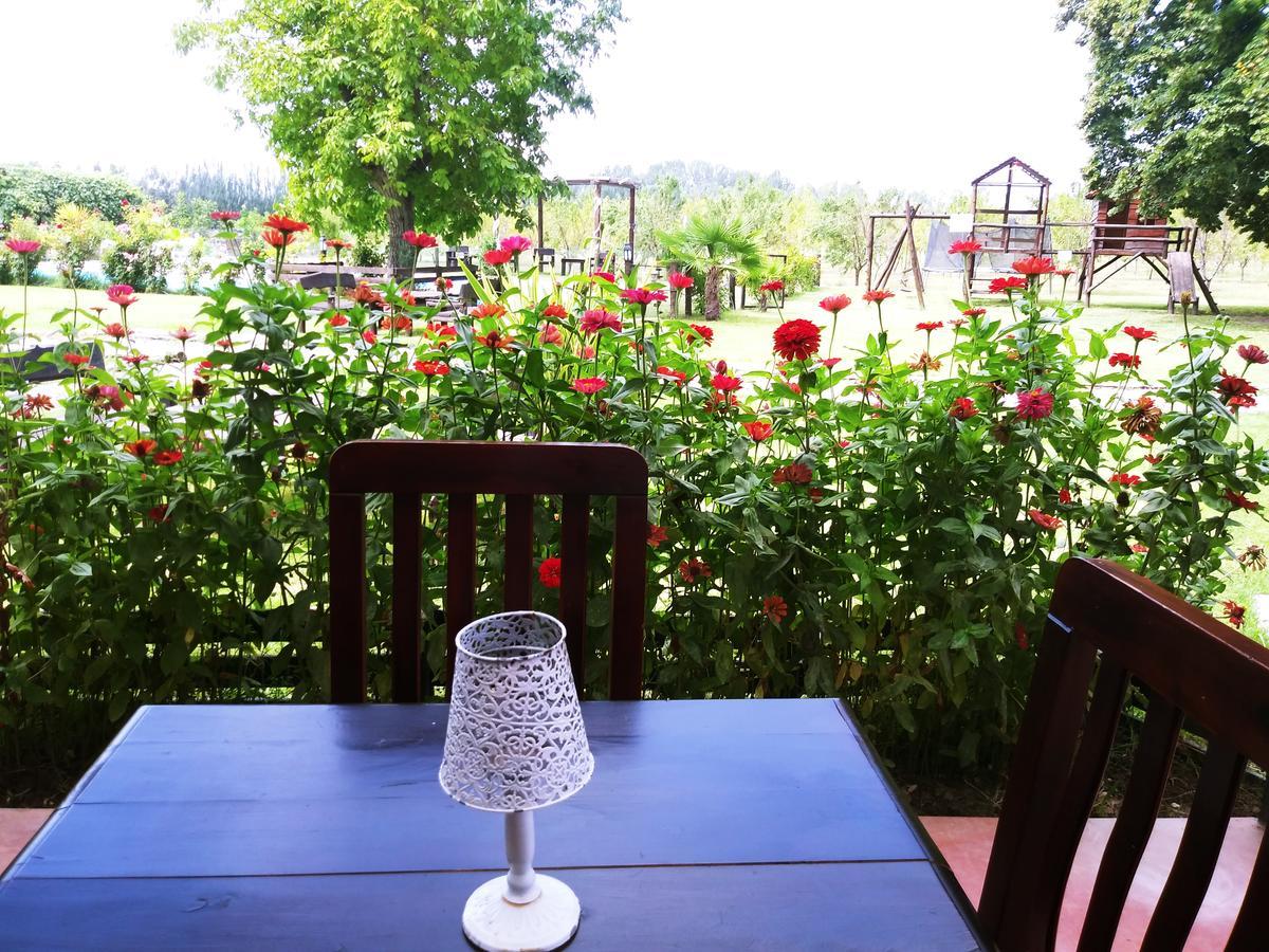 Finca Los Almendros Hotel Tunuyán Eksteriør billede